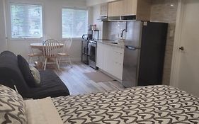 Modern Studio With Kitchenette And Bath